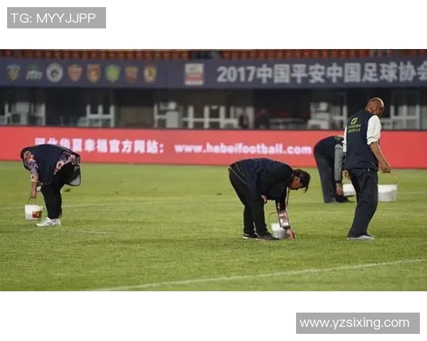 遮牌照足球的魅力与挑战探索足球运动中的隐秘规则与战术策略